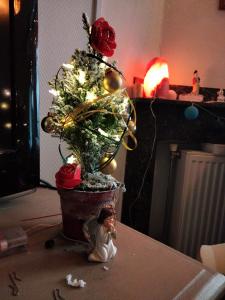 Chris 03 Wel een boom